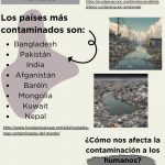 Contaminación ---- Regina Cravioto Alvarez ---- 1°B